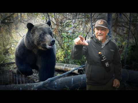 The Most Dangerous Grizzly Bear Encounter! — official film thumbnail