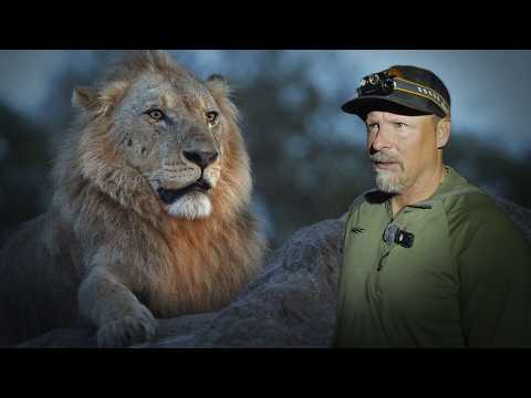 Close Encounter With an African Lion Pride on Foot (Episode 2 of 4) — official film thumbnail