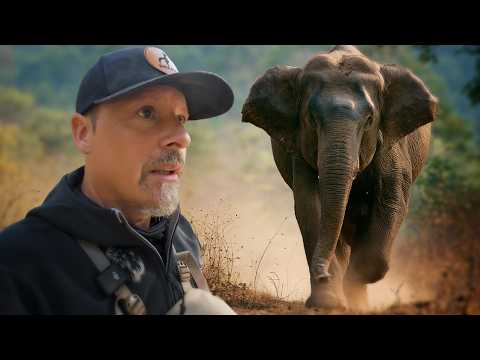 Tracking Elephants Across Remote Nepal — official film thumbnail