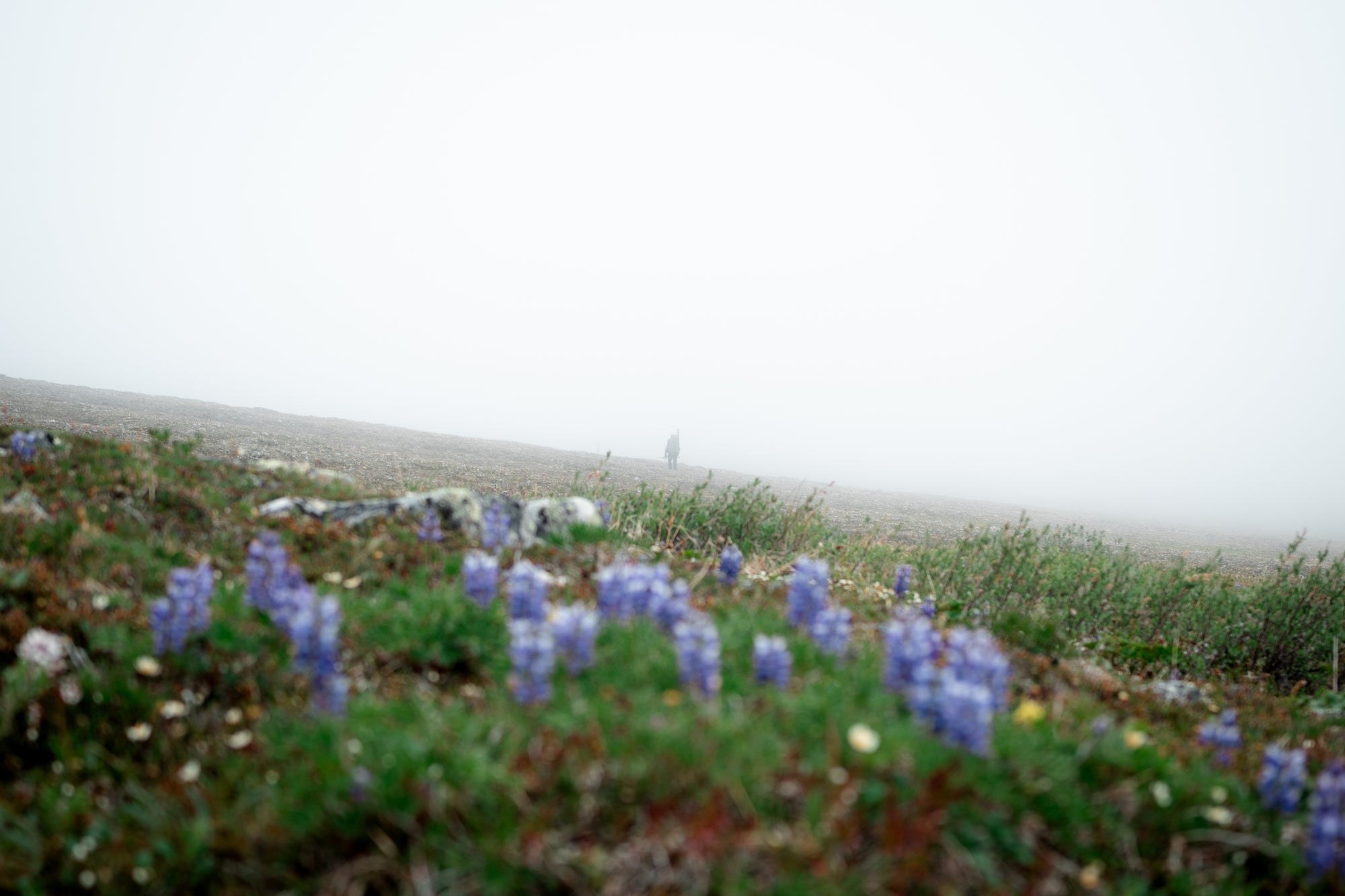 A landscape photographed by Endless Venture